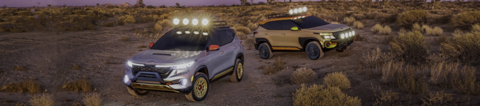 Seltos X-Line