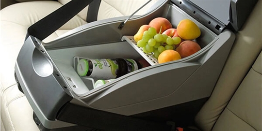 Fridge - Day Tripper - 15L