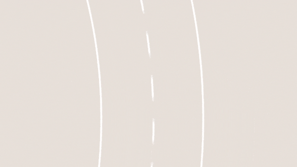 Lane Following Assist (LFA)