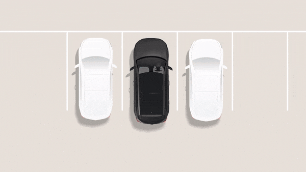 Rear Cross-Traffic Collision-Avoidance Assist (RCCA)