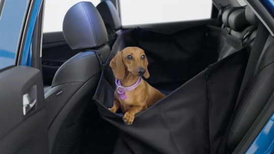 Rear seat pet cover.