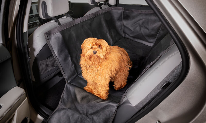 Rear seat pet cover