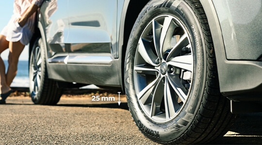 Sports styling lowering spring kit