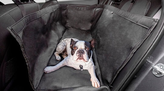 Rear seat pet cover.