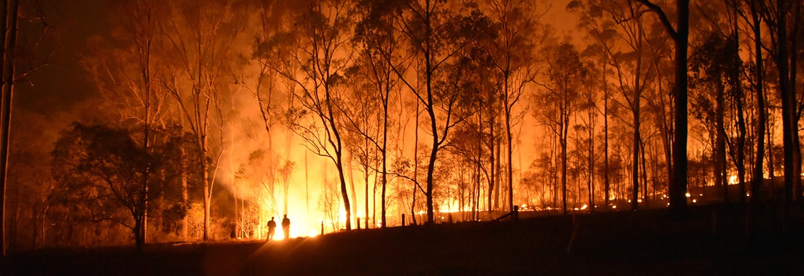 Bushfire
