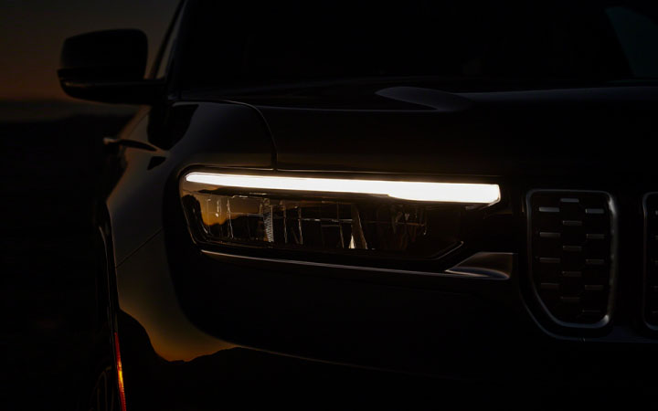 Wild Comes Out. After Dark