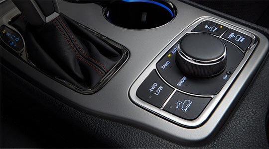 Selec-Terrain® Traction Management System