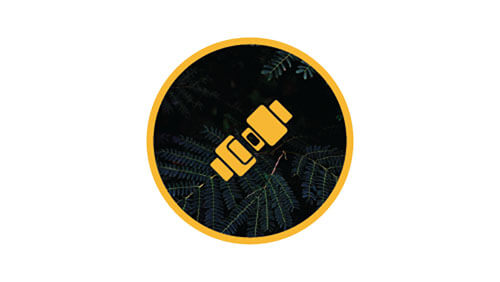 Jeep Grand Cherokee L Safety and Technology