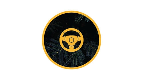 Room for Spontaneity