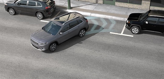 Parallel and Perpendicular Park Assist