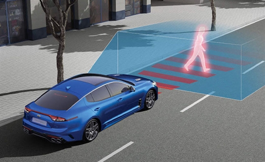 Autonomous Emergency Braking (Car/Pedestrian/Cyclist)*