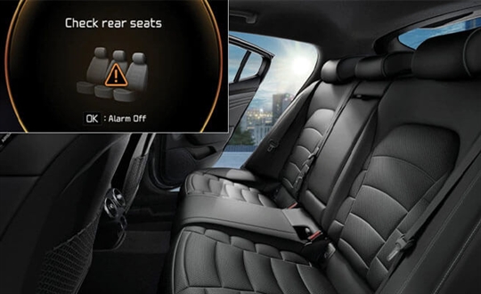 Rear Occupant Alert*