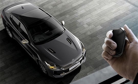 Smart Key with Remote Engine Start