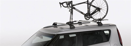 Roof Bicycle Carrier (Fork Mount)