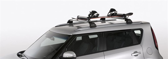 Ski & Snowboard Carrier