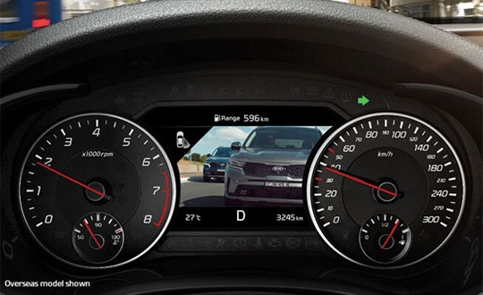 Blind Spot View Monitor*