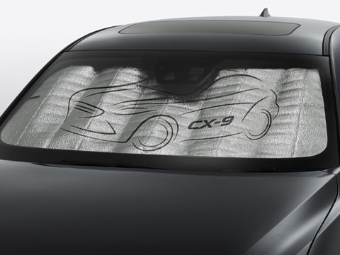 Collapsible Sun Screen