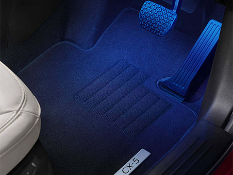 Collapsible Sun Screen