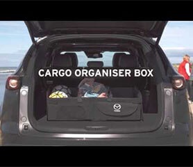 Cargo Organiser Box