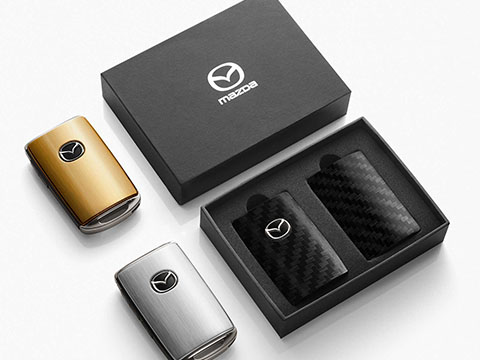 Retractable AUX Cable