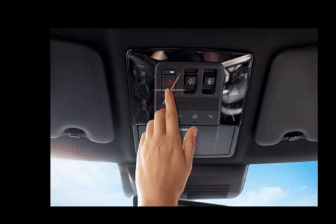 SOS Emergency Assist