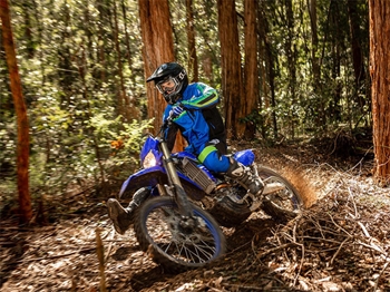 Yamaha WR250F