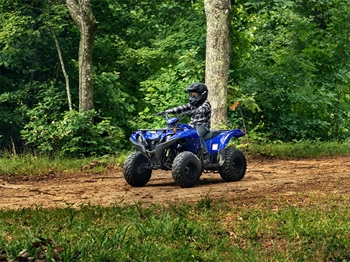Yamaha Grizzly 90
