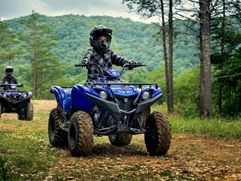 Yamaha Grizzly 90
