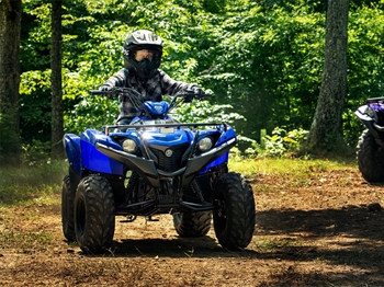 Yamaha Grizzly 90