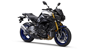 Yamaha Maximum Torque