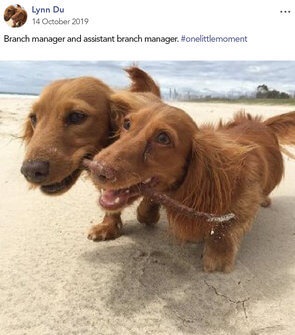 And how it all evolved