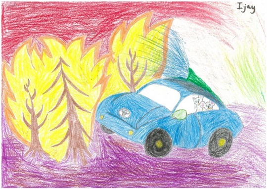The Bushfire Furry Friends Rescuer was created by seven-year-old Ijay Sayooj after he witnessed the devastation caused by the 2020 bushfires