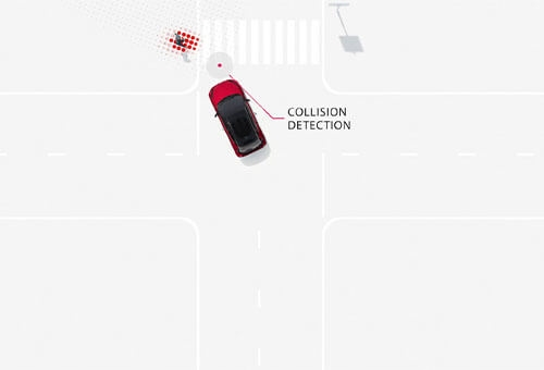 Collision Detection - Pedestrians