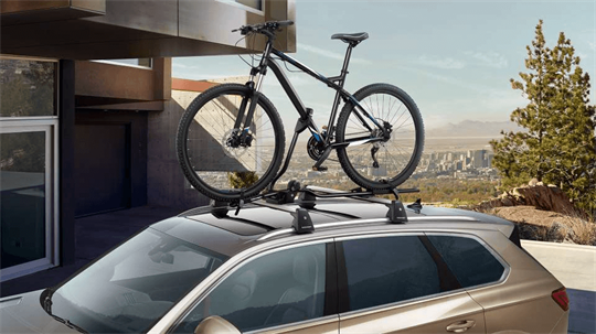 Bicycle Carrier