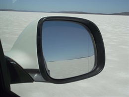 Vehicle Wingmirror