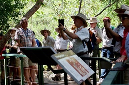 Aboriginal gathering
