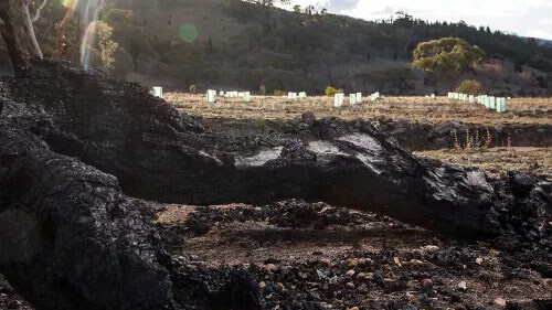 Volkswagen’s donation