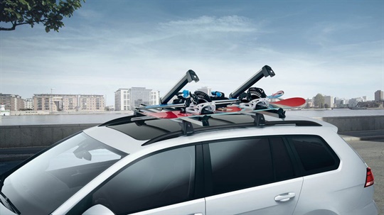 Ski and Snowboard Carrier