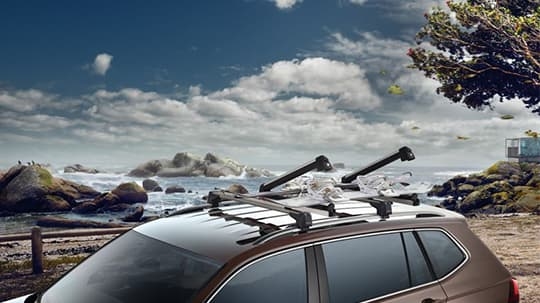 Ski and Snowboard Carrier