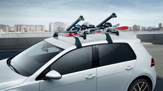 Ski and Snowboard Carrier